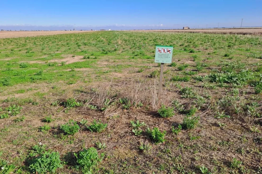 Ecologistes acusen als opositors de les ZEPA de promoure l'agricultura industrial