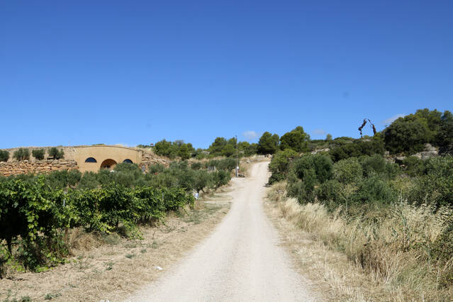 El celler Mas Blanch i Jove de la Pobla acaba la verema més primerenca