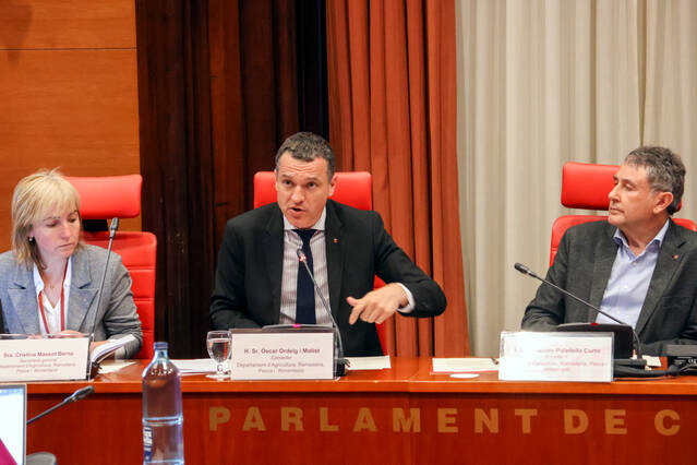 El conseller d'Agricultura afirma que el preu del porc ja s'ha recuperat 