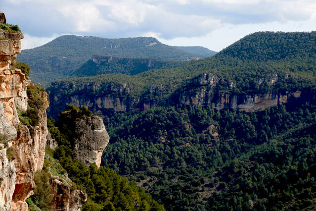 El Govern publica la proposta del Parc Natural de les Muntanyes de Prades