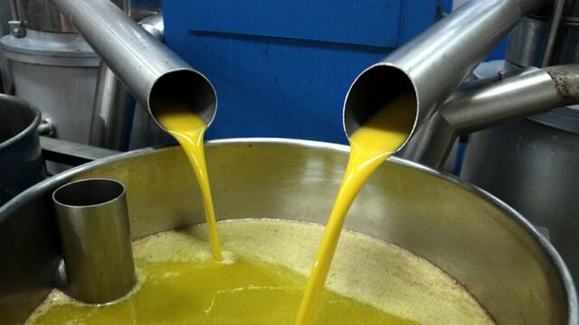 El pacte de Mercosur blinda la marca Oli de les Garrigues a Llatinoamèrica