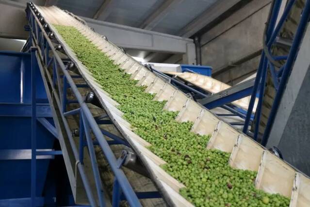 El preu de l’oli d’oliva s’estabilitza després de dos anys d’intenses pujades