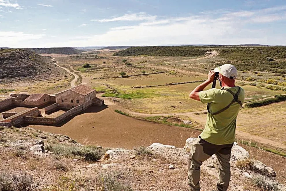 El Segarra-Garrigues reclama “una agricultura rendible” per a les zepes