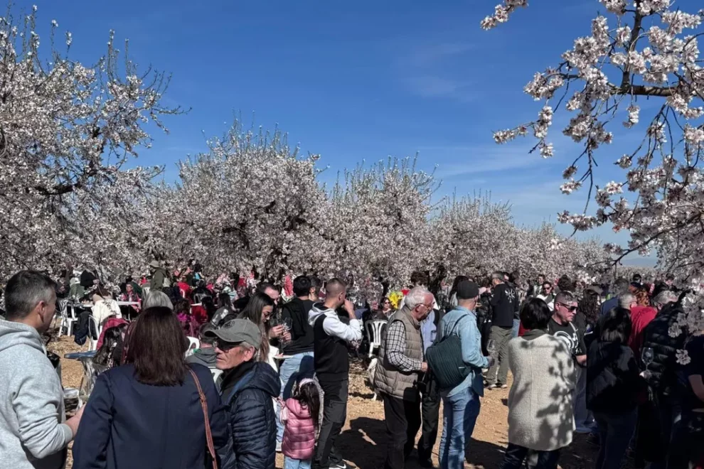 El vermut entre ametllers d’Arbeca esgota existències