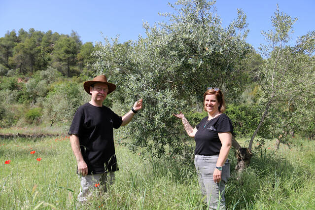 L'únic oli de Catalunya basat en l'agricultura biodinàmica, a les Garrigues