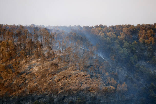 Estabilitzat l'incendi forestal de Fulleda, que ha afectat 13,5 hectàrees