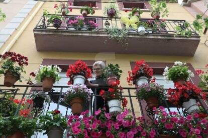 Flors i plantes per embellir els pobles de les Garrigues