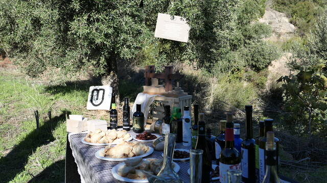 La Carretera de l’Oli es presenta a les Borges Blanques com una experiència per als sentits i un homenatge al paisatge de les Garrigues
