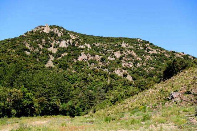 La Generalitat amplia la consulta del Parc de Prades fins al 30 de setembre