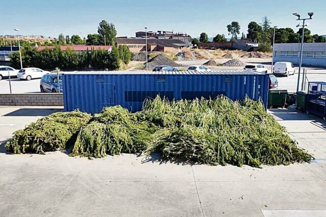 La quantitat de marihuana confiscada és tan gran que no cap als magatzems