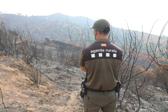 L'alerta per risc d'incendi forestal s'allarga tota la setmana i el perill serà més elevat dimecres