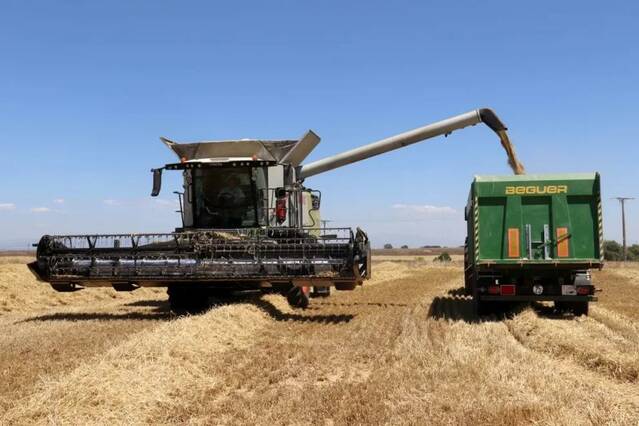 Les altes temperatures avancen la campanya del cereal de secà