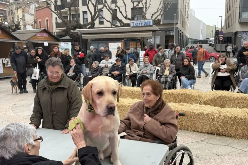 Les Borges Blanques exhibeix teràpies amb gossos destinades a la tercera edat