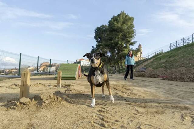 Les Borges crea un parc per a gossos de 925 metres quadrats