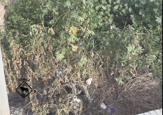 Les Borges exigeix manteniment dels solars urbans