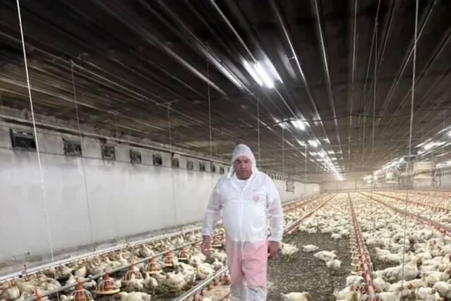 Les granges d'aus de Juneda i Arbeca, confinades per evitar la grip aviària