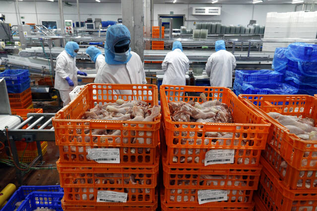 L'exportació de porc cau un 31,8% en plena crisi de la PPA