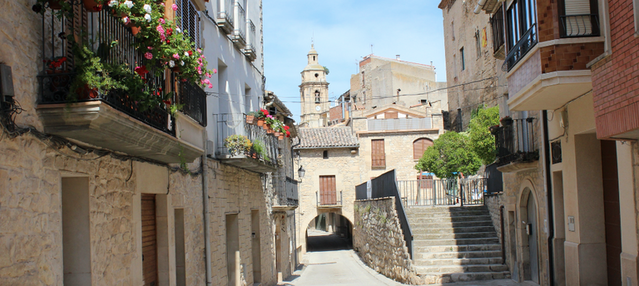 Llum verda a l'ordenança de civisme de l'Espluga