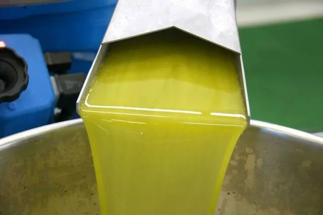 L’oli d’oliva de Lleida es juga bona part de les seues exportacions als Estats Units