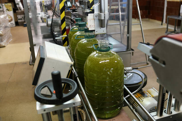 L'oli d'oliva va liderar les exportacions lleidatanes als Estats Units amb 42,94 milions d'euros el 2025