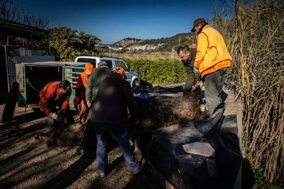 Més de dos milions contra la fauna cinegètica