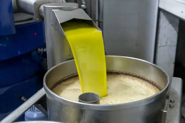 Molins de Lleida produeixen més d’11.850 tones d’oli