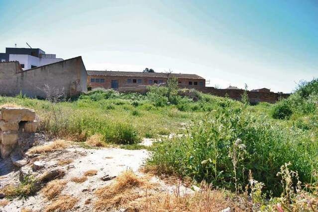 Multes de 600 euros als amos de solars bruts o coberts de vegetació