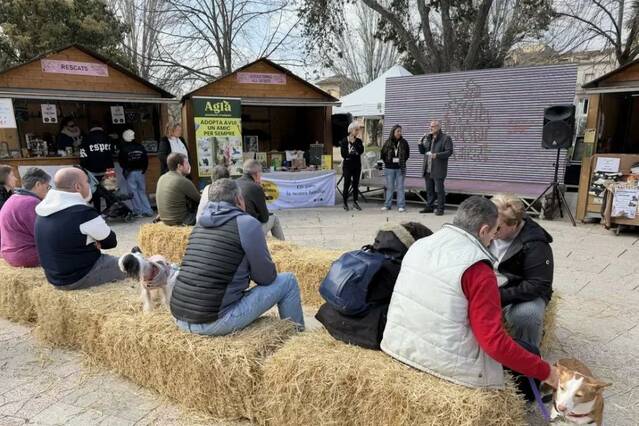 Nou sistema de carnets per a la gestió de colònies felines