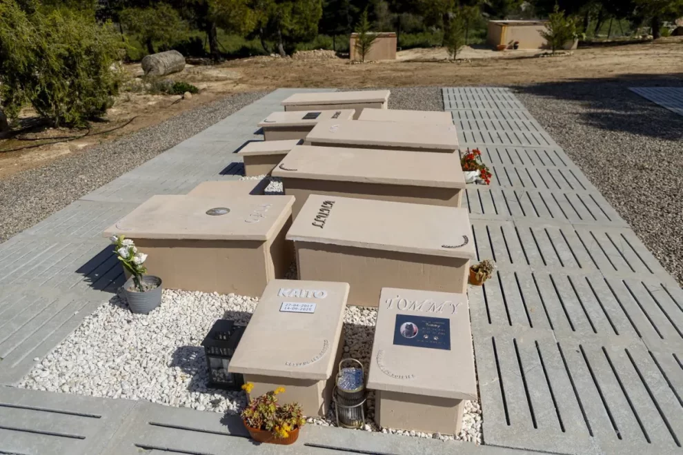 Repòs etern per a les mascotes al Cogul