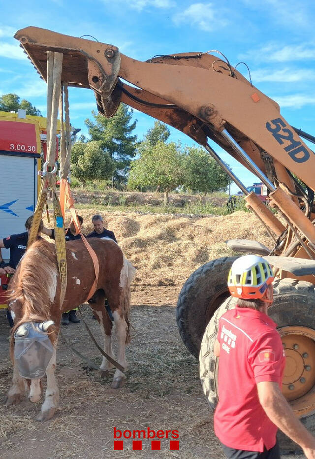 Rescat d'un cavall a Cervià