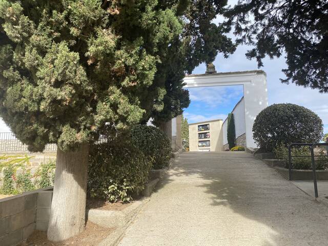 Saquegen el cementiri de les Borges