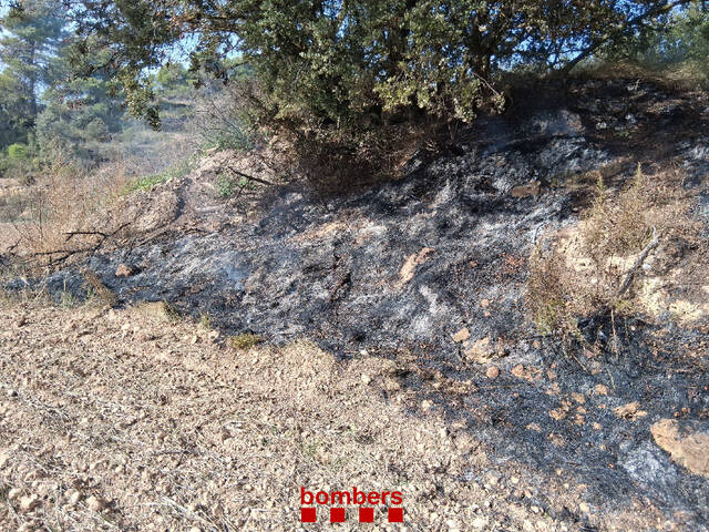 Sufoquen un foc de vegetació a Bellaguarda