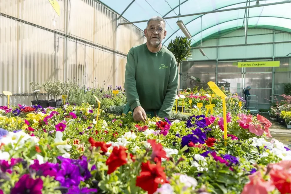 Talma, mig segle facilitant la integració