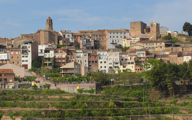Tot a punt per posar en marxa la botiga virtual a l'Albagés