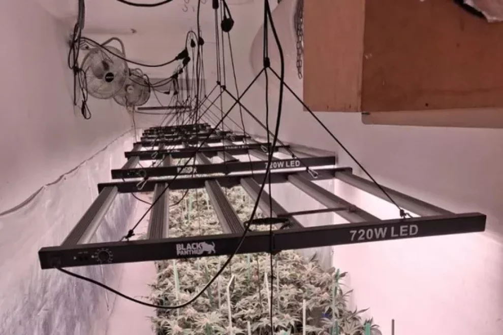 Troben cocaïna en dos operatius a les Garrigues