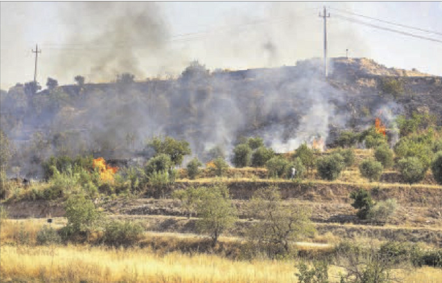 Un incendi crema cinc hectàrees a les Borges