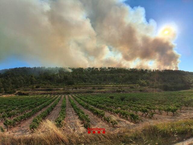 Una quarantena de dotacions dels Bombers ataquen un incendi de vegetació forestal a Fulleda