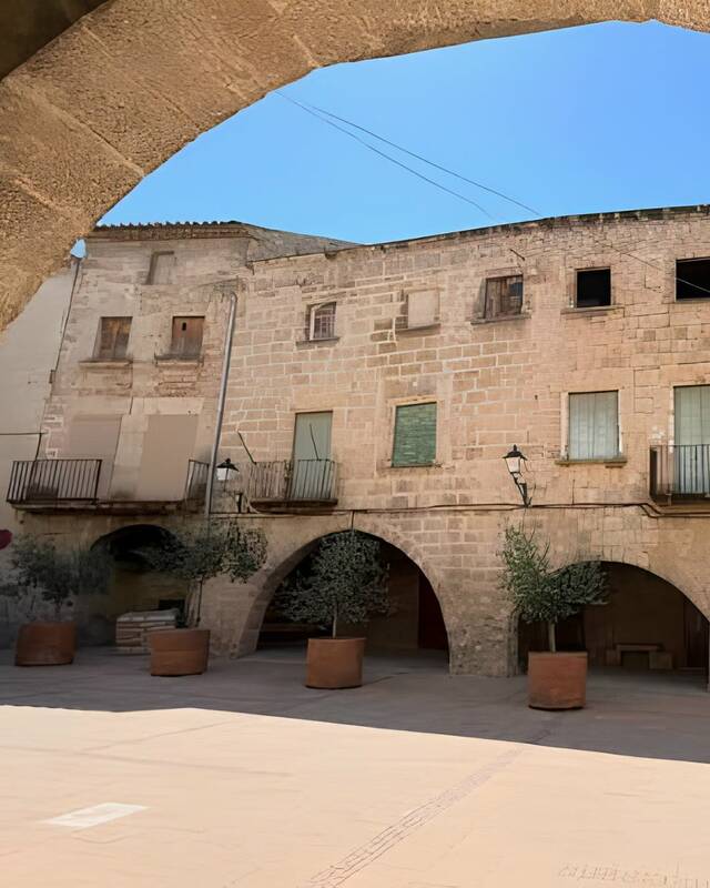 Viu la Plaça torna a Arbeca