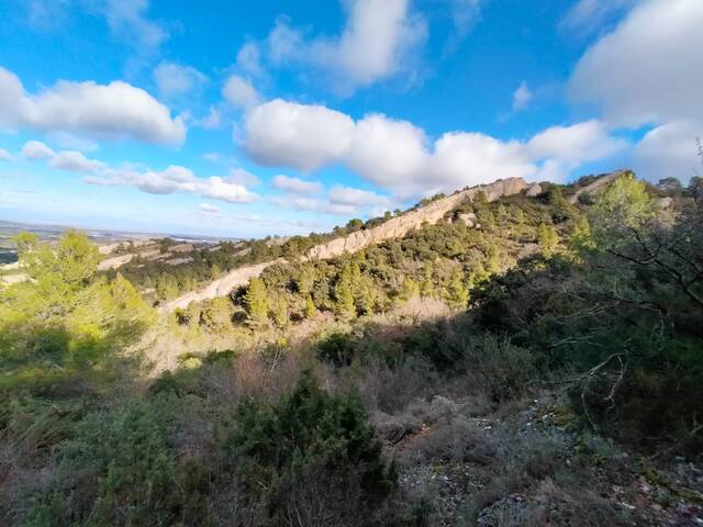 Vora 200 persones per netejar la serra La Llena