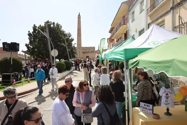 Activitats culturals, gastronòmiques i tradicionals a Firacamp