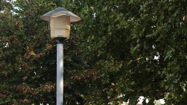 Actuació urgent per reparar l’enllumenat a Mollerussa