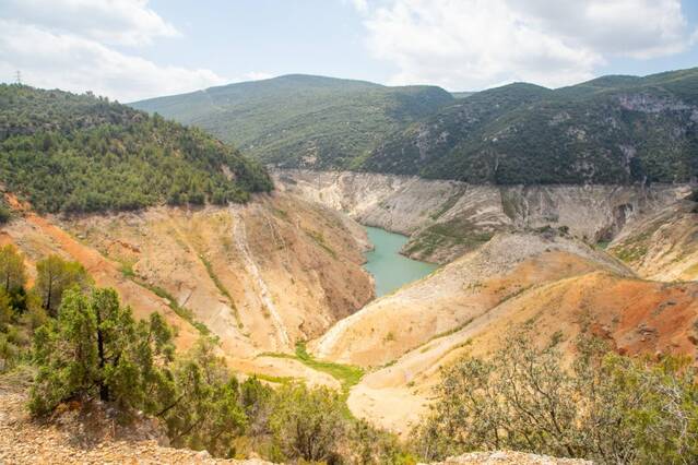 Ajuts de 2,8 milions a regants afectats per la sequera del 2024