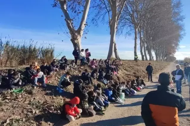Alumnat voluntari replanta arbres al canal d’Urgell