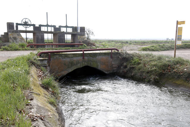 Asaja i Manifest del Gran Urgell demanen ajornar de manera indefinida la votació de modernització del canal d'Urgell