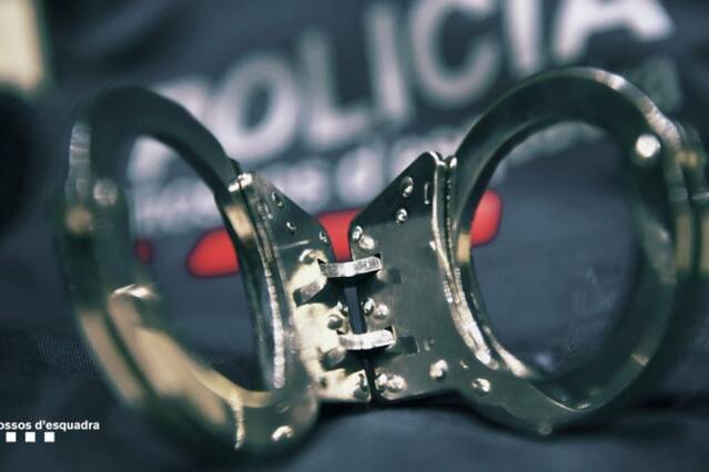 Detingut a Mollerussa per intentar agredir el conductor de l'autocar