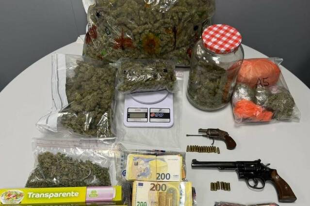 Detinguts quatre membres d'un clan familiar per cultivar i vendre marihuana a Mollerussa