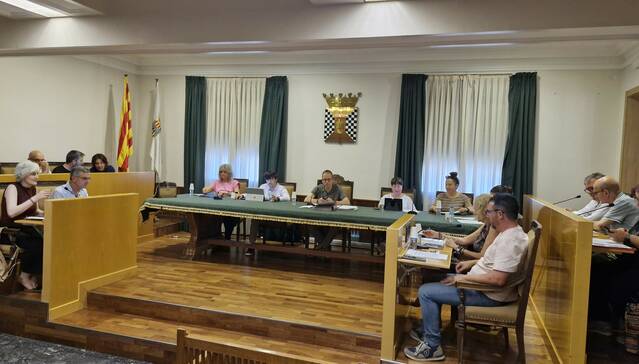 El Ple aprova adjudicar la renovació i el manteniment de l’enllumenat públic per 4,2 M€ durant 13 anys
