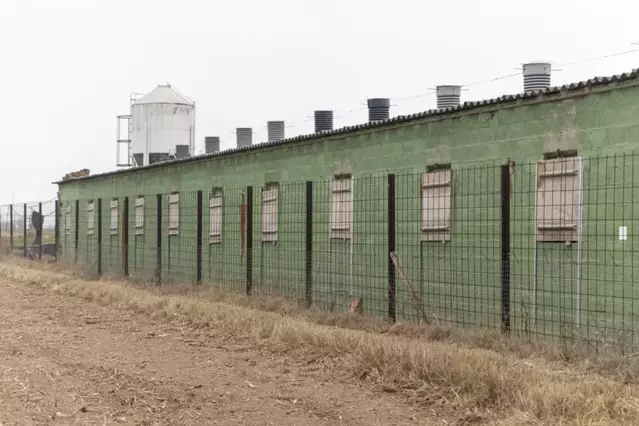 El porcí de Lleida ha perdut més de 800.000 euros al dia en els sis mesos de pesta