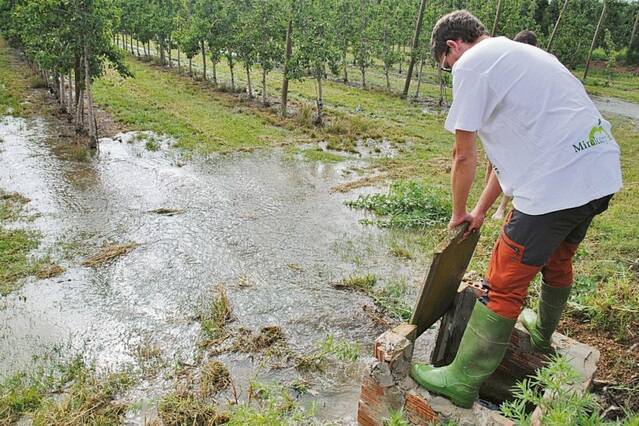 El projecte per modernitzar el Canal d’Urgell té quatre basses de reg a la Xarxa Natura