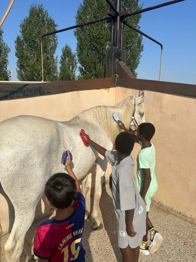 El Servei Socioeducatiu Itinerant del Pla d'Urgell s'estén a Bell-lloc i Linyola aquest estiu